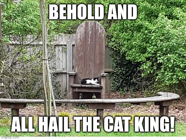 I think I'll name him Charles | BEHOLD AND; ALL HAIL THE CAT KING! | image tagged in a true cat monarch | made w/ Imgflip meme maker