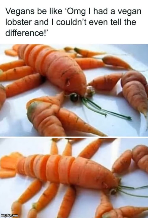 image tagged in vegans,lobster,carrots | made w/ Imgflip meme maker
