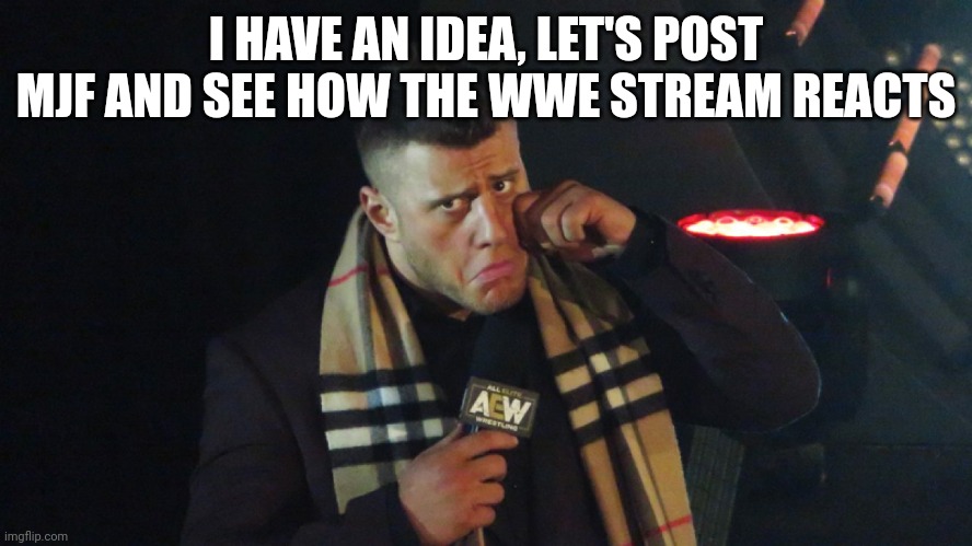 (Reads aew rule) Ah well let's see how they react to mjf instead then | I HAVE AN IDEA, LET'S POST MJF AND SEE HOW THE WWE STREAM REACTS | image tagged in aew mjf 2 | made w/ Imgflip meme maker