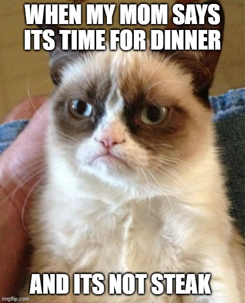 Grumpy Cat | WHEN MY MOM SAYS ITS TIME FOR DINNER; AND ITS NOT STEAK | image tagged in memes,grumpy cat | made w/ Imgflip meme maker