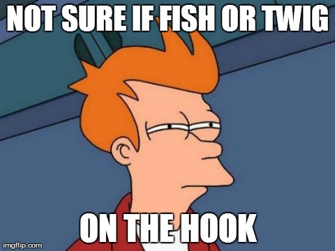 This Was Really Annoying Me the Other Day. | NOT SURE IF FISH OR TWIG ON THE HOOK | image tagged in memes,futurama fry | made w/ Imgflip meme maker