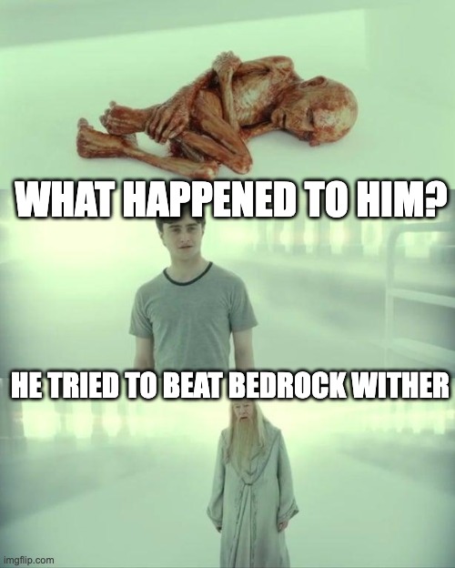 Dead Baby Voldemort / What Happened To Him | WHAT HAPPENED TO HIM? HE TRIED TO BEAT BEDROCK WITHER | image tagged in dead baby voldemort / what happened to him | made w/ Imgflip meme maker