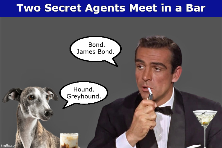 Two Secret Agents Meet in a Bar | image tagged in dog,dogs,meeting,funny,memes,james bond | made w/ Imgflip meme maker