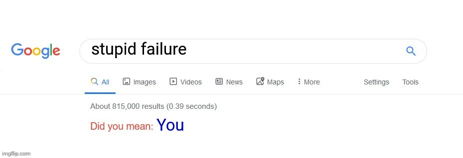 Did you mean? | stupid failure; You | image tagged in did you mean | made w/ Imgflip meme maker