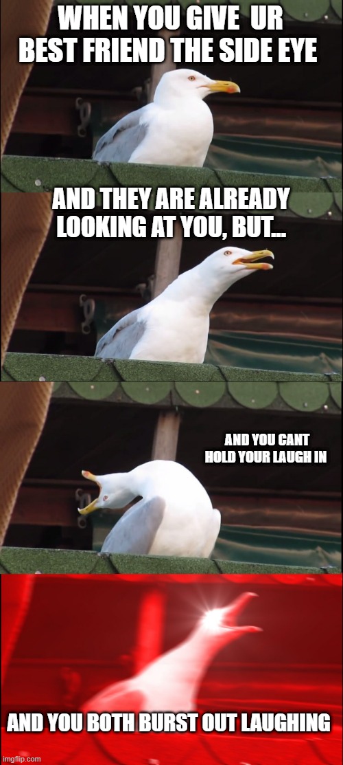 best friend in class | WHEN YOU GIVE  UR BEST FRIEND THE SIDE EYE; AND THEY ARE ALREADY LOOKING AT YOU, BUT... AND YOU CANT HOLD YOUR LAUGH IN; AND YOU BOTH BURST OUT LAUGHING | image tagged in memes,inhaling seagull | made w/ Imgflip meme maker