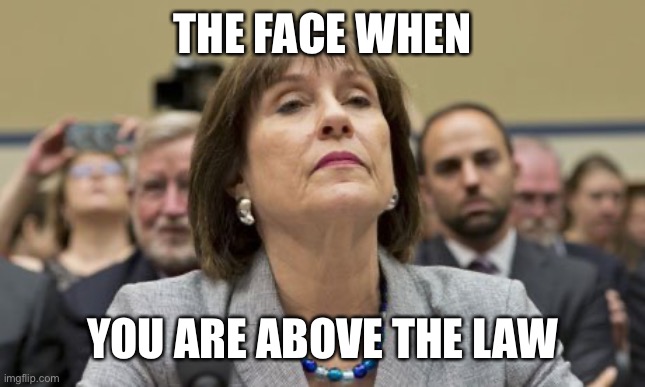 Lois Lerner IRS | THE FACE WHEN YOU ARE ABOVE THE LAW | image tagged in lois lerner irs | made w/ Imgflip meme maker