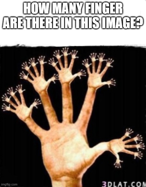 HOW MANY FINGER ARE THERE IN THIS IMAGE? | image tagged in riddle | made w/ Imgflip meme maker