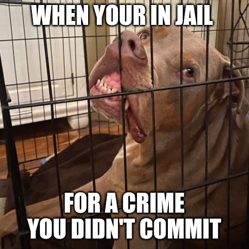 Johnny Hollywood | WHEN YOUR IN JAIL; FOR A CRIME YOU DIDN'T COMMIT | image tagged in johnny hollywood | made w/ Imgflip meme maker