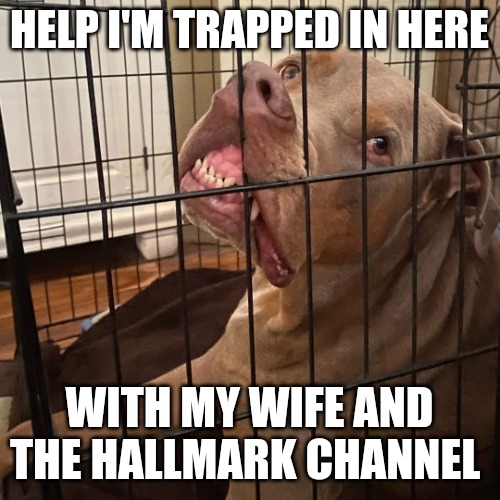 Johnny Hollywood | HELP I'M TRAPPED IN HERE; WITH MY WIFE AND THE HALLMARK CHANNEL | image tagged in johnny hollywood | made w/ Imgflip meme maker