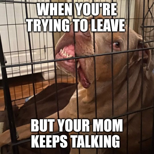 Johnny Hollywood | WHEN YOU'RE TRYING TO LEAVE; BUT YOUR MOM KEEPS TALKING | image tagged in johnny hollywood | made w/ Imgflip meme maker