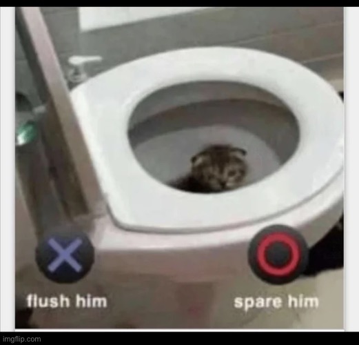 Mod note: piss on him mod note 2: shit on him mod note 3: why not all 4 | image tagged in memes | made w/ Imgflip meme maker