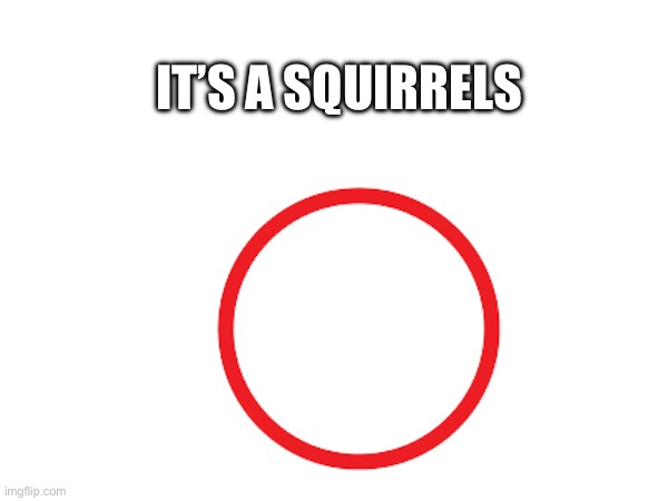 IT’S A SQUIRRELS | made w/ Imgflip meme maker