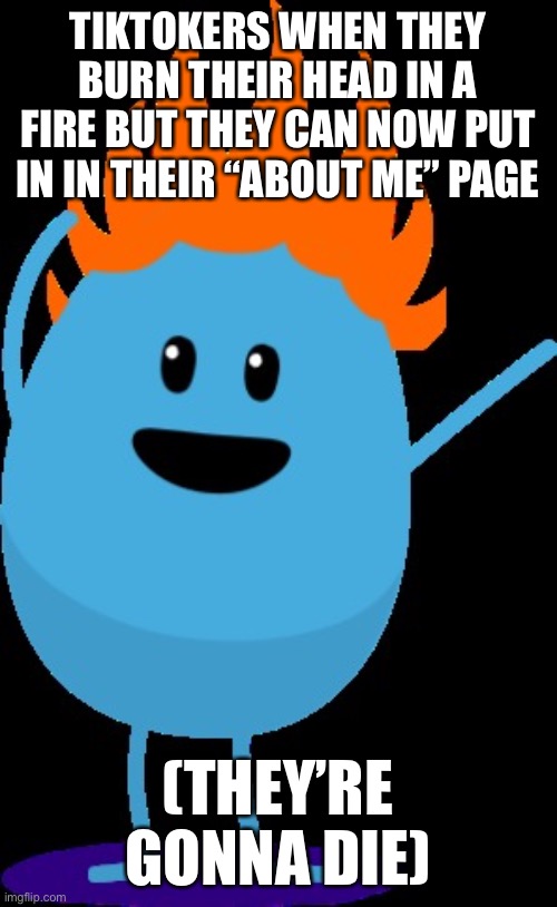 Numpty | TIKTOKERS WHEN THEY BURN THEIR HEAD IN A FIRE BUT THEY CAN NOW PUT IN IN THEIR “ABOUT ME” PAGE; (THEY’RE GONNA DIE) | image tagged in numpty | made w/ Imgflip meme maker