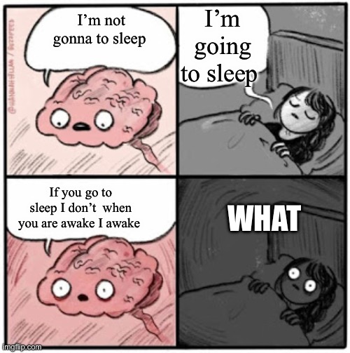 Brain Before Sleep | I’m going to sleep; I’m not gonna to sleep; If you go to sleep I don’t  when you are awake I awake; WHAT | image tagged in brain before sleep | made w/ Imgflip meme maker