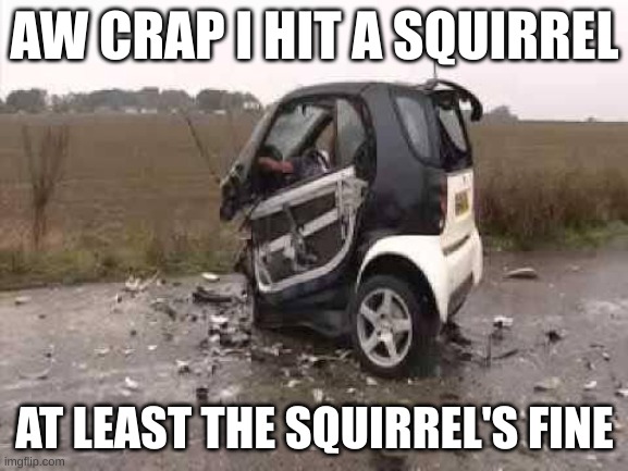 smart cars | AW CRAP I HIT A SQUIRREL; AT LEAST THE SQUIRREL'S FINE | image tagged in smart car crash | made w/ Imgflip meme maker