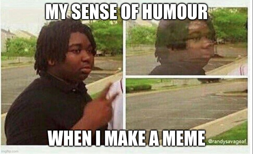 AW, CRAP! | MY SENSE OF HUMOUR; WHEN I MAKE A MEME | image tagged in black guy disappearing | made w/ Imgflip meme maker