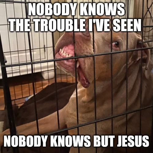 Johnny Hollywood | NOBODY KNOWS THE TROUBLE I'VE SEEN; NOBODY KNOWS BUT JESUS | image tagged in johnny hollywood | made w/ Imgflip meme maker