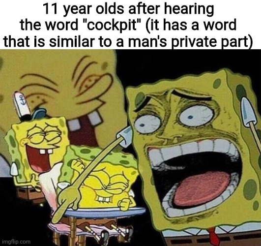 Spongebob laughing Hysterically | 11 year olds after hearing the word "cockpit" (it has a word that is similar to a man's private part) | image tagged in kids these days,spongebob laughing hysterically,funny memes | made w/ Imgflip meme maker