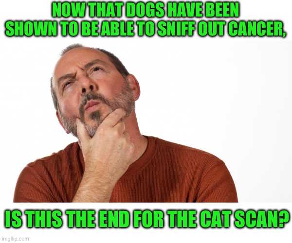 Hmm | NOW THAT DOGS HAVE BEEN SHOWN TO BE ABLE TO SNIFF OUT CANCER, IS THIS THE END FOR THE CAT SCAN? | image tagged in hmmm,dad joke | made w/ Imgflip meme maker