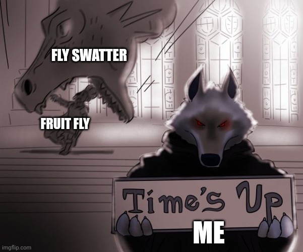 Times up for that fly | FLY SWATTER; FRUIT FLY; ME | image tagged in guess time really is up | made w/ Imgflip meme maker