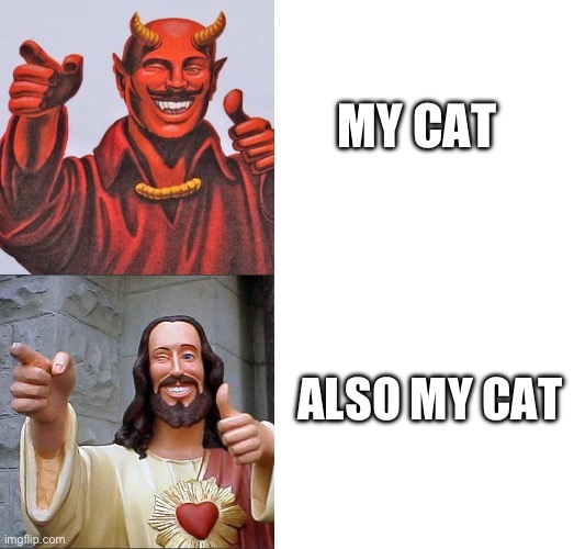 My Cat Is Good and Bad | MY CAT; ALSO MY CAT | image tagged in words of wisdom satan jesus,devil,angel,cat,good and bad | made w/ Imgflip meme maker