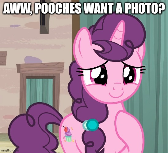 AWW, POOCHES WANT A PHOTO? | made w/ Imgflip meme maker