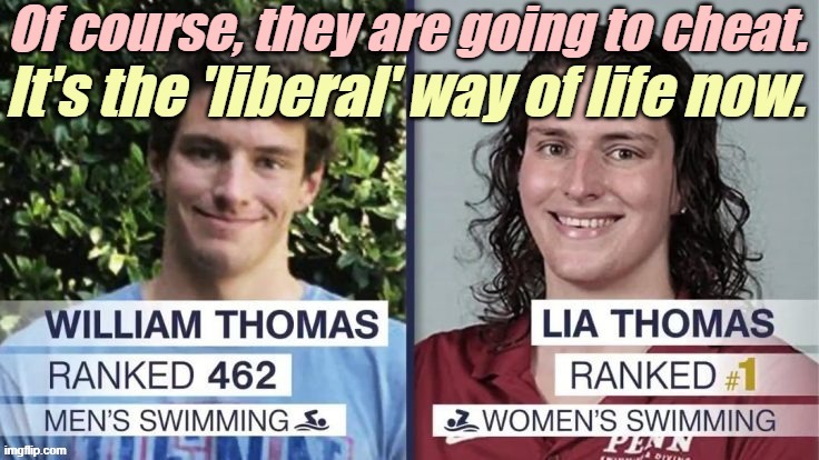 Will 'liberals' try to cheat AGAIN in 2024? | image tagged in liberals,democrats,lgbtq,blm,antifa,cheaters | made w/ Imgflip meme maker