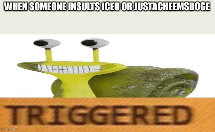 slowly triggered | WHEN SOMEONE INSULTS ICEU OR JUSTACHEEMSDOGE | image tagged in slowly triggered,iceu | made w/ Imgflip meme maker