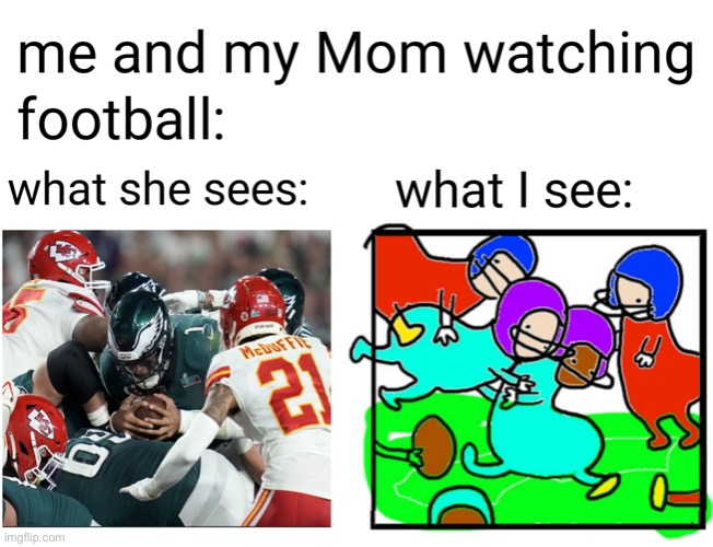 Used to watch the Super Bowl for the football - Imgflip