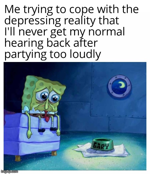 image tagged in memes | made w/ Imgflip meme maker