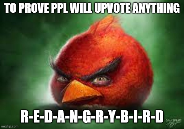 now i shall wait | TO PROVE PPL WILL UPVOTE ANYTHING; R-E-D-A-N-G-R-Y-B-I-R-D | image tagged in realistic red angry birds | made w/ Imgflip meme maker