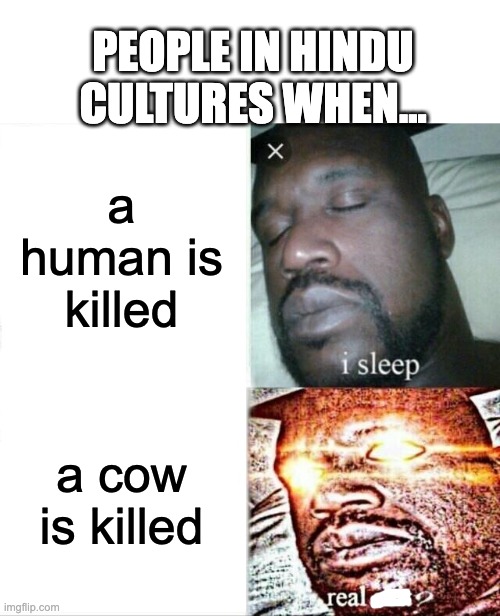 hindu cultures be like | PEOPLE IN HINDU CULTURES WHEN... a human is killed; a cow is killed | image tagged in memes,sleeping shaq | made w/ Imgflip meme maker