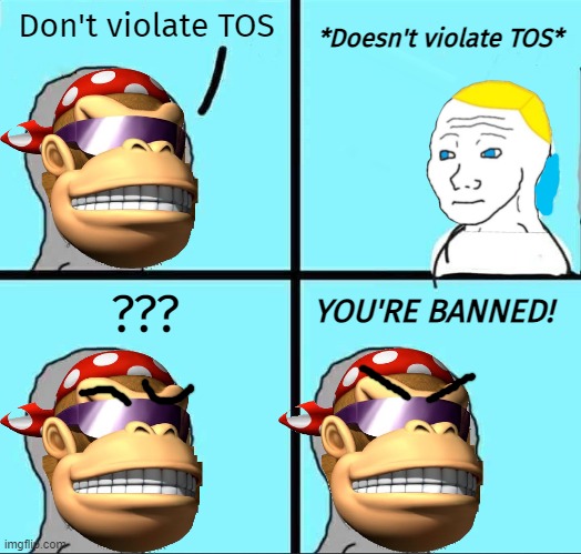 *Doesn't violate TOS*; Don't violate TOS; ??? YOU'RE BANNED! | made w/ Imgflip meme maker