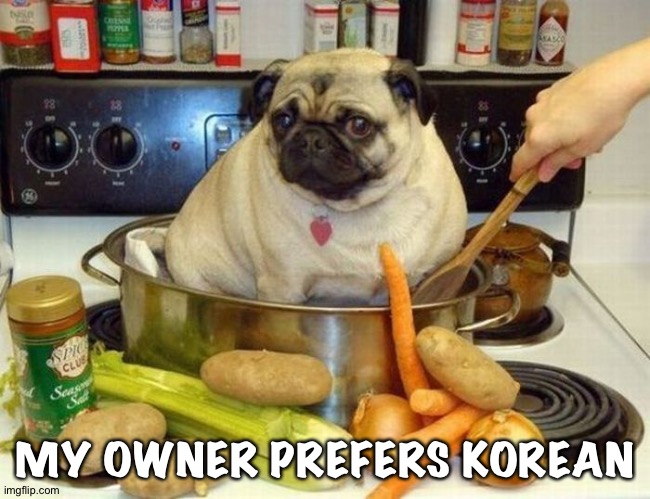 MY OWNER PREFERS KOREAN | made w/ Imgflip meme maker