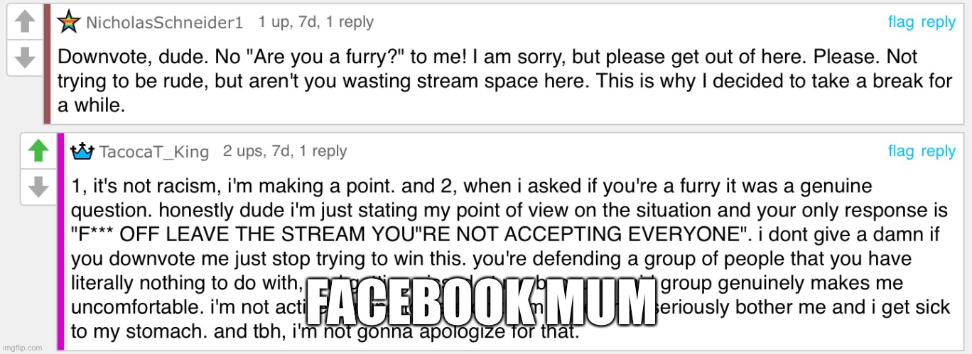 Furry being a Facebook mum LMAO | FACEBOOK MUM | made w/ Imgflip meme maker