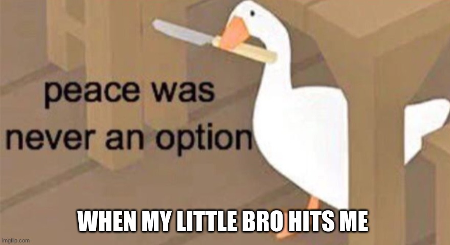 Untitled Goose Peace Was Never an Option | WHEN MY LITTLE BRO HITS ME | image tagged in untitled goose peace was never an option | made w/ Imgflip meme maker