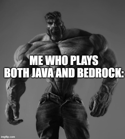 GigaChad | ME WHO PLAYS BOTH JAVA AND BEDROCK: | image tagged in gigachad | made w/ Imgflip meme maker