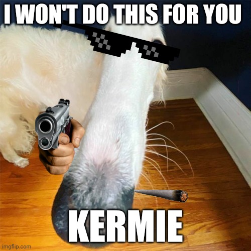 No, not this time, kermie | I WON'T DO THIS FOR YOU; KERMIE | image tagged in let me do it for you | made w/ Imgflip meme maker