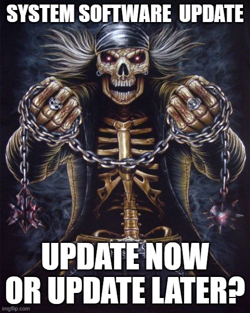 Badass Skeleton | SYSTEM SOFTWARE  UPDATE; UPDATE NOW OR UPDATE LATER? | image tagged in badass skeleton | made w/ Imgflip meme maker