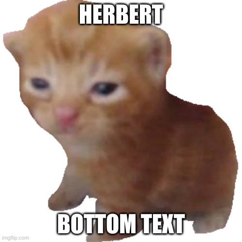 Herbert | HERBERT; BOTTOM TEXT | image tagged in herbert | made w/ Imgflip meme maker