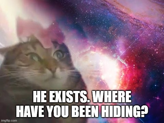 the prophecy is true cat | HE EXISTS. WHERE HAVE YOU BEEN HIDING? | image tagged in the prophecy is true cat | made w/ Imgflip meme maker