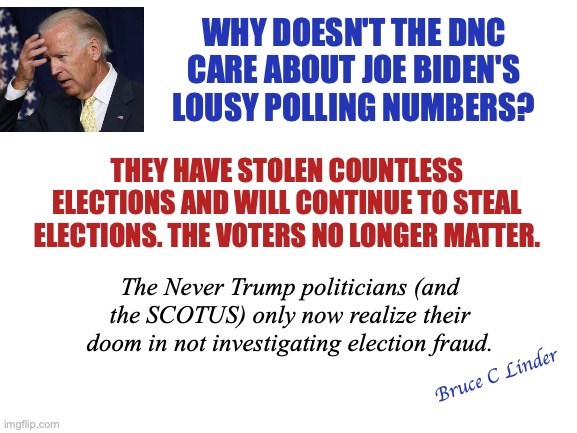 Who Needs Votes Anyways | WHY DOESN'T THE DNC
CARE ABOUT JOE BIDEN'S LOUSY POLLING NUMBERS? THEY HAVE STOLEN COUNTLESS ELECTIONS AND WILL CONTINUE TO STEAL ELECTIONS. THE VOTERS NO LONGER MATTER. The Never Trump politicians (and the SCOTUS) only now realize their doom in not investigating election fraud. Bruce C Linder | image tagged in biden,stolen election,voter fraud,rino's,anyone but trump | made w/ Imgflip meme maker