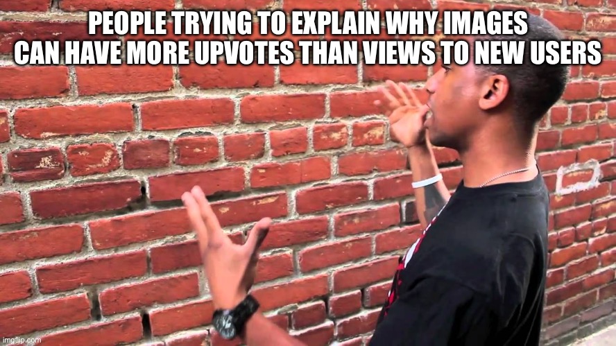 guy explaining to brick wall | PEOPLE TRYING TO EXPLAIN WHY IMAGES CAN HAVE MORE UPVOTES THAN VIEWS TO NEW USERS | image tagged in guy explaining to brick wall | made w/ Imgflip meme maker