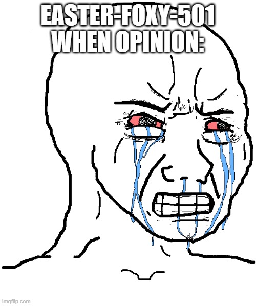 cry wojak | EASTER-FOXY-501 WHEN OPINION: | image tagged in cry wojak | made w/ Imgflip meme maker
