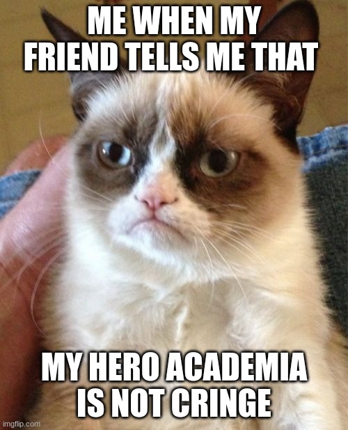 Grumpy Cat Meme | ME WHEN MY FRIEND TELLS ME THAT; MY HERO ACADEMIA IS NOT CRINGE | image tagged in memes,grumpy cat,relateable,anime,anime meme,my hero academia | made w/ Imgflip meme maker