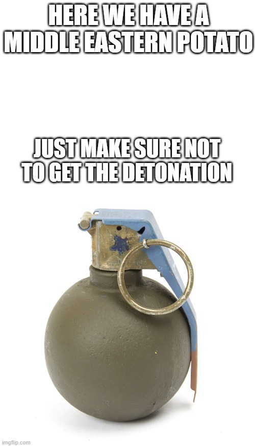 Credit goes to Josh Dub | HERE WE HAVE A MIDDLE EASTERN POTATO; JUST MAKE SURE NOT TO GET THE DETONATION | image tagged in grenade | made w/ Imgflip meme maker