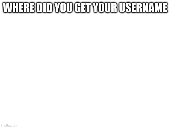 Blank White Template | WHERE DID YOU GET YOUR USERNAME | image tagged in blank white template | made w/ Imgflip meme maker