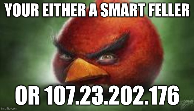 real | YOUR EITHER A SMART FELLER; OR 107.23.202.176 | image tagged in memes | made w/ Imgflip meme maker