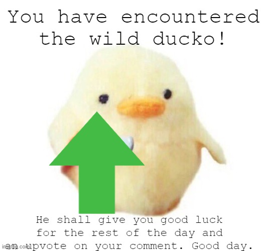 You're welcome. | You have encountered the wild ducko! He shall give you good luck for the rest of the day and an upvote on your comment. Good day. | image tagged in duck with knife,you have been blessed for reading the tags,blessed with luck,funny,memes,you have encountered___ | made w/ Imgflip meme maker