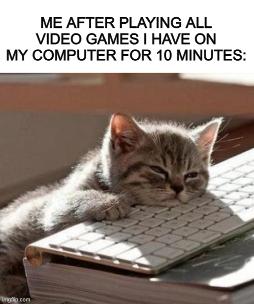 I get so bored so easily tbh :P | ME AFTER PLAYING ALL VIDEO GAMES I HAVE ON MY COMPUTER FOR 10 MINUTES: | image tagged in blank white template,tired cat | made w/ Imgflip meme maker